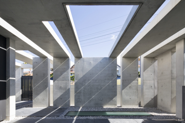 LEXPOL 1arbutus L 031 copy