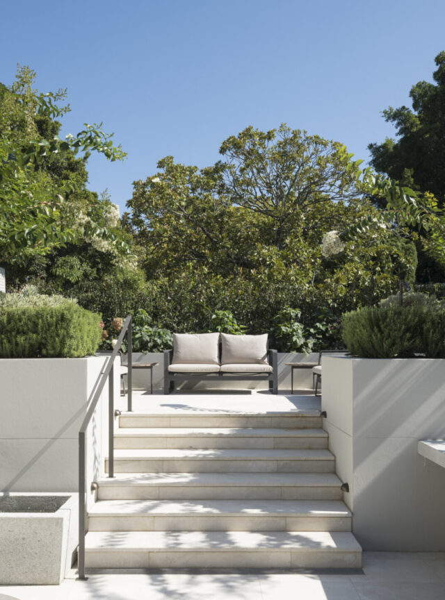 TF Photo Corben John St 0053 Mid Res