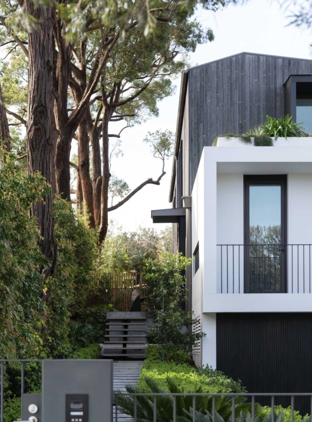 TF Photo Corben 23 A Kardinia 0290 Web Res